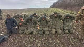 Война в Украине. Потерь нет часть 2. Владимир Высоцкий - Гниют по Украине солдаты группы Z