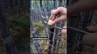 Sugarcane Juice Vendor with Itinerant Traditional Machine | Sugarcane Juice Extractor Best Food