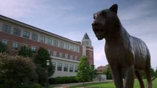 Why Business at Mizzou?