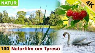 The beautiful Swedish nature in Tyresö (Ultra HD)