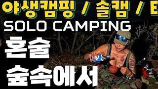 숲속 노지캠핑 / 초심으로 돌아가 혼술 / 비화식 통삼겹찜 / 밀리터리 야생캠퍼 테캠 돌아왔어요