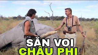 Săn Voi Châu Phi Châu Phi"Khám Phá Thế Giới Động Vật Hoang Dã"Thế Giới Động Vật"