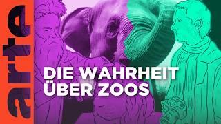 Zoo: Tierschutz oder Quälerei? - Blast the Past | Doku HD | ARTE