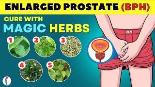  Magic Herbs to Cure Enlarged Prostate | Prostate enlargement Treatment | BPH Treatment