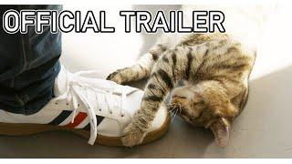 The Cat Town Story | Official Documentary Trailer 4k 