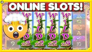 What a Roll In  Online Slots, Player Requests & New Releases 