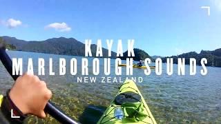 Kayak in Marlborough Sounds - New Zealand