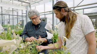 Rutgers Research Supports Food for the Future