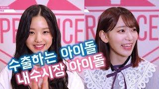 【프로듀스48】 한국 일본 아이돌은 어떻게 다를까?