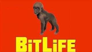 HOW TO BREED AND SELL ANIMALS WITH BITLIFE ZOOKEEPER UPDATE