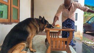 ഒന്ന് കണ്ണ് തെറ്റിയാൽ തീർന്നു ... ശ്രദ്ധിക്കണേ..|Leolaika|chottuz