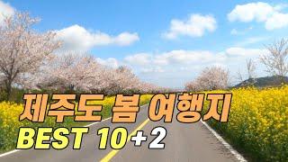 봄에 꼭 가야 할 제주도 여행지 BEST 10