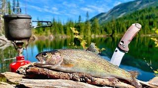 MOUNTAIN TROUT Fishing!WILD Trout Catch & Cook in Remote Mountains!!(SOLO Challenge)#river #nature.