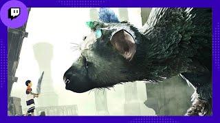 The Last Guardian (Part 5: FINALE)