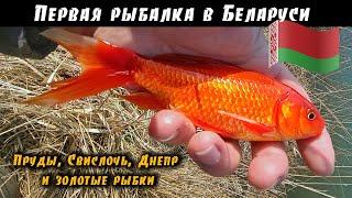 Рыбалка в Беларуси: Виталий Дальке разведует водоёмы для ловли сома