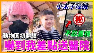 【Qi黃帝】小太子動物園初體驗 玩得太開心沒有注意到危險 結果意外就發生了.. | 黃帝の遊戲頻道@zxsdexz