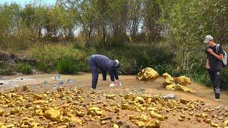 Golden Treasures of the River!