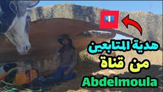 هدية المتابعين من قناة تربية الغنم في اسبانيا abdelmoula 