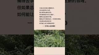 少有人走的路 #每日书摘 #读书 #人生感悟 #书语 #audiobooks #chineseliterature #情感 #感情 #人生哲理 #正能量 #看看书 #智慧人生 #名人名言 #books