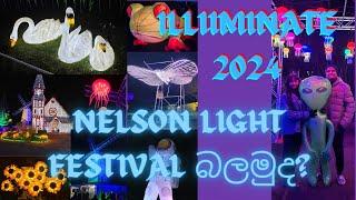 Illuminate 2024 ️⭐| V3 එක්ක Nelson light festival බලන්න යමු... @V3Onthemove