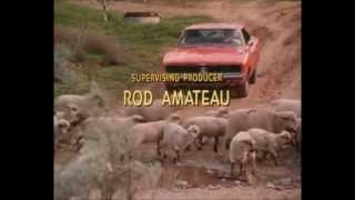 Dukes of Hazzard- Have you seen such a hairy pigs?