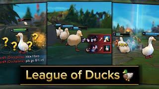  LEAGUE OF DUCKS  Meme Edit