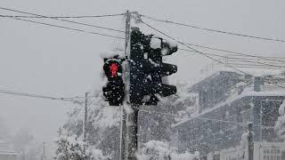 Snow in Chalandri, Athens 2021 - Χιόνια στο Χαλάνδρι, "Μήδεια" 2021