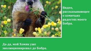 Вышивка крестом: подарочки, а также обзоры на новые журналы ВК, ФР и Лена!