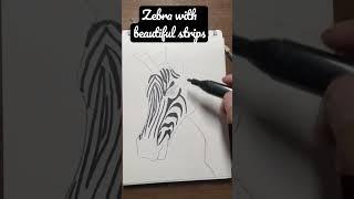 How to draw zebra easy (strips) | zebra drawing  step by step #shorts