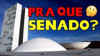 Pra que serve um Senador?