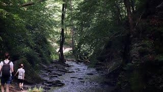 Traumschleife Ehrbachklamm]wandern mit Familie]Nature shots]Canon250d