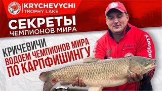 Krychevychi - the lake of the champions. Кричевичи - водоем Чемпионов Мира по карпфишингу