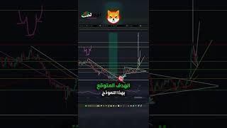 شيبا اينو Shiba inu  توقعات مذهلة لسعر العملة! 