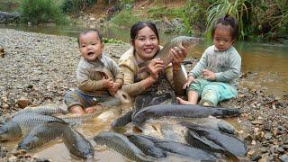 Catch fish with your children - trap giant freshwater fish to sell at the market