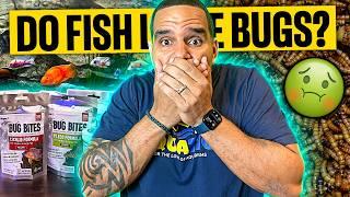 Get HEALTHY Fish with FLUVAL BUG BITES in Just 1 Week!