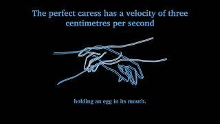 The perfect caress has a velocity of three centimetres per second by Jack Cooper & Daniel Shao (YPN)