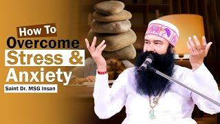 Discovering Divine Wisdom: Saint Dr. Gurmeet Ram Rahim Singh Insan's Spiritual Awakening