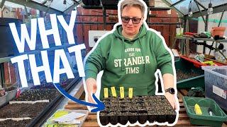 Starting now! Sowing my bell peppers, broad beans and more