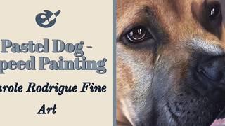 Speed Painting a Dog Portrait, Pastel Pit Bull Painting Demo