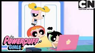 Sahte Haberler | Powerpuff Girls Türkçe | çizgi film