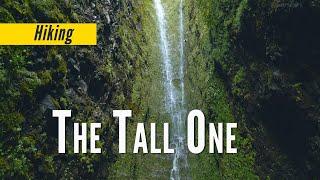 Chasing Waterfalls in the Ko'olau Mountains