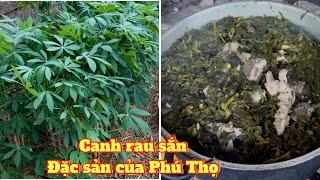 Canh rau sắn đặc sản của Phú Thọ quê tôi | cánh cò vlog