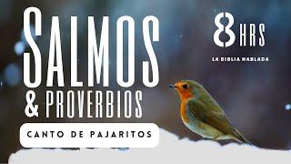 8 hrs | Salmos y Proverbios para Dormir en Paz | #biblia #yamycruz