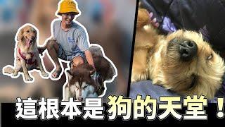 【VLOG】我來到屬於狗狗的樂園/Dog paradise./ft.狗老大寵物渡假會館