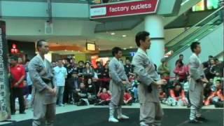 LIONFEST 2010: CYL & International Southern Shaolin Wushu