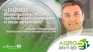 Levadura | Microorganismos eficientes con muchas aplicaciones | Agro para el siglo 21