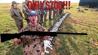 BEST BUDGET FRIENDLY WATERFOWL SHOTGUN! 2024