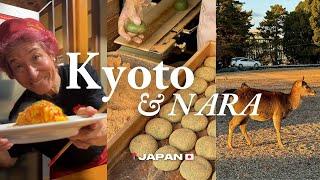 Kyoto Japan Vlog | one day trip to NARA  deer park, cute cafes, kichi kichi omurice, higashiyama