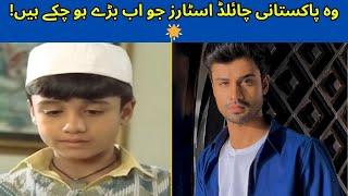  Top 7 Pakistani Child Stars Who Are All Grown Up Now! 