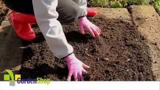 How to prepare soil for planting